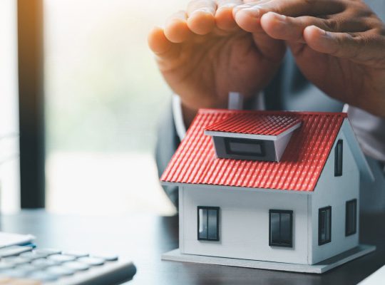 property-protection-will-trust